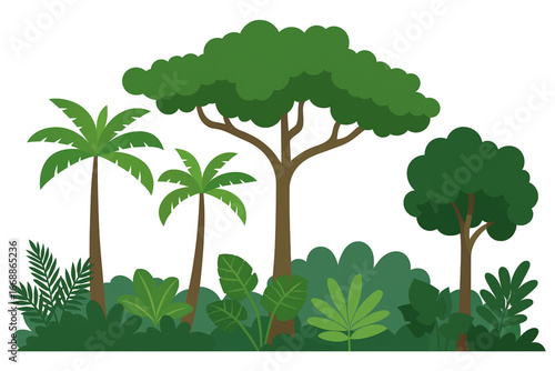 Brazilian rainforest canopy flat vector design tropical trees white background