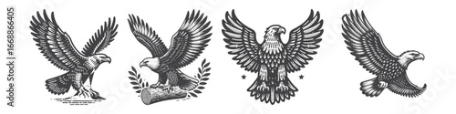 Vintage Hand-Drawn Eagle Illustration, Majestic Bird Engraved Vector for Wildlife and T-Shirt Design