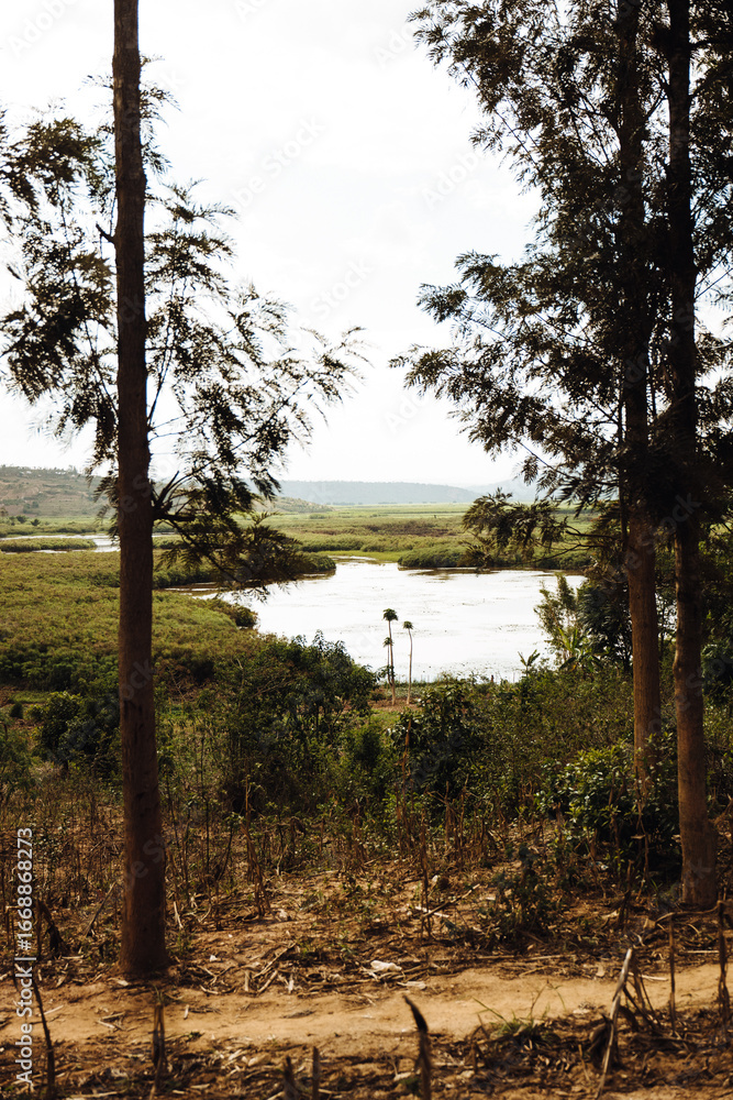 Obraz premium tree in the mountains