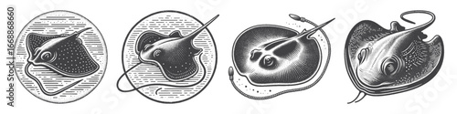 Vintage Hand-Drawn Stingray Illustration, Marine Creature Engraved Vector for Ocean and T-Shirt Design