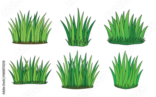 set of green grass