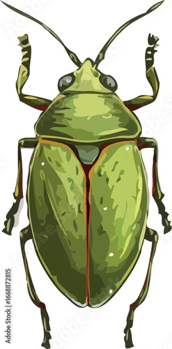insects vector art