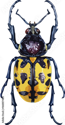 insects vector art