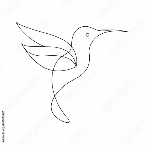   humming bird line art illustration jpg on white background