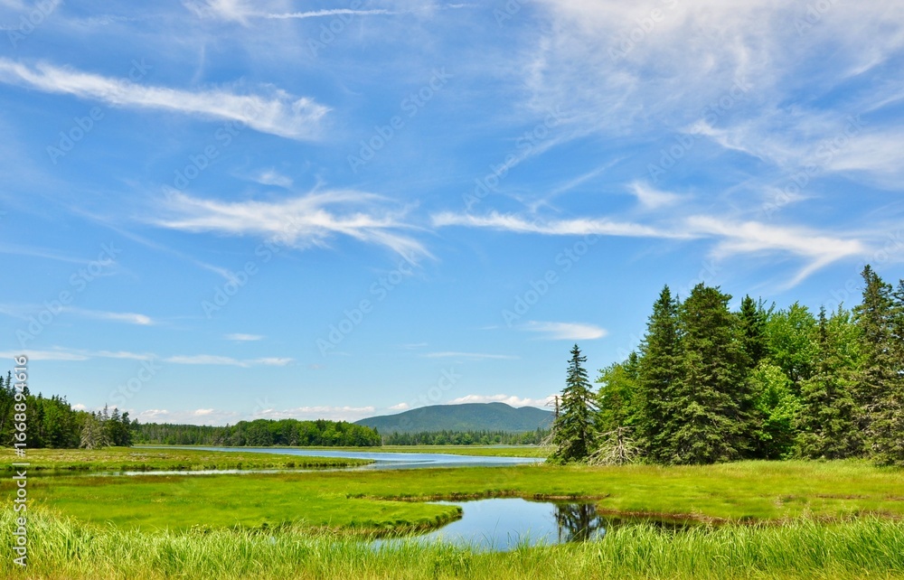 summer landscape with lake summer landscape with lake