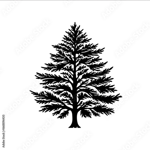 line drawing of young lebanese cedar tree bold and graphic logo.