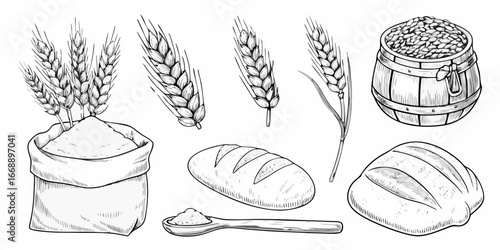 Hand Drawn Wheat Grains Flour Bread and Barrel vector