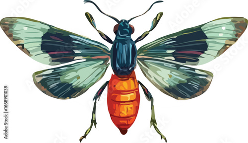 Insect vector art