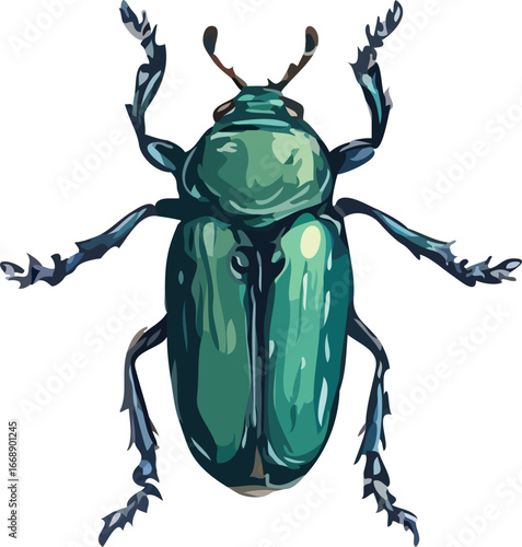 Insect vector art