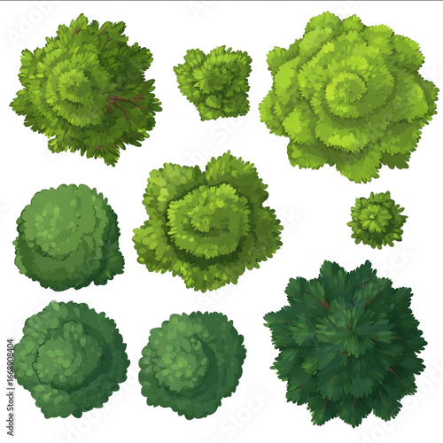 best quality cartoon style top view trees trees woods simple background white background.