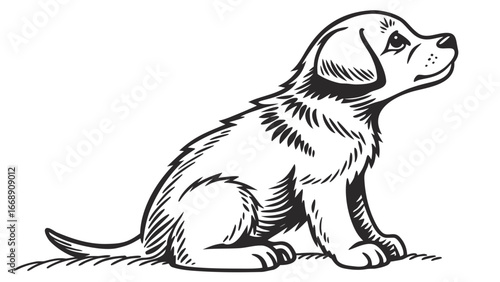 Illustration of a sitting puppy looking up with detailed line work in black and white drawing style