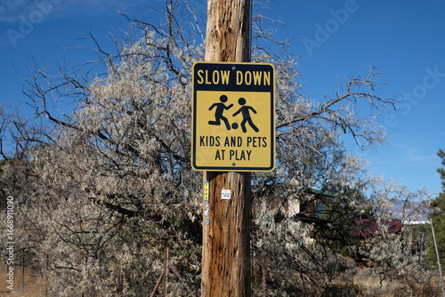 Slow Down Kids at Play Sign in Neighborhood