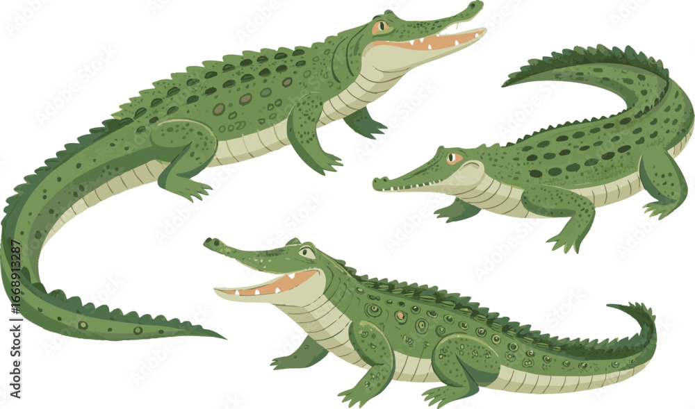 Fototapeta premium set of crocodile