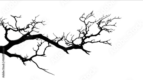 a silouhette graphic of a dead tree branch over solid whiite.