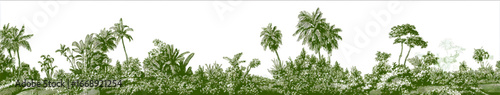 vector art white background single color background graphic hawaiian vegetation.