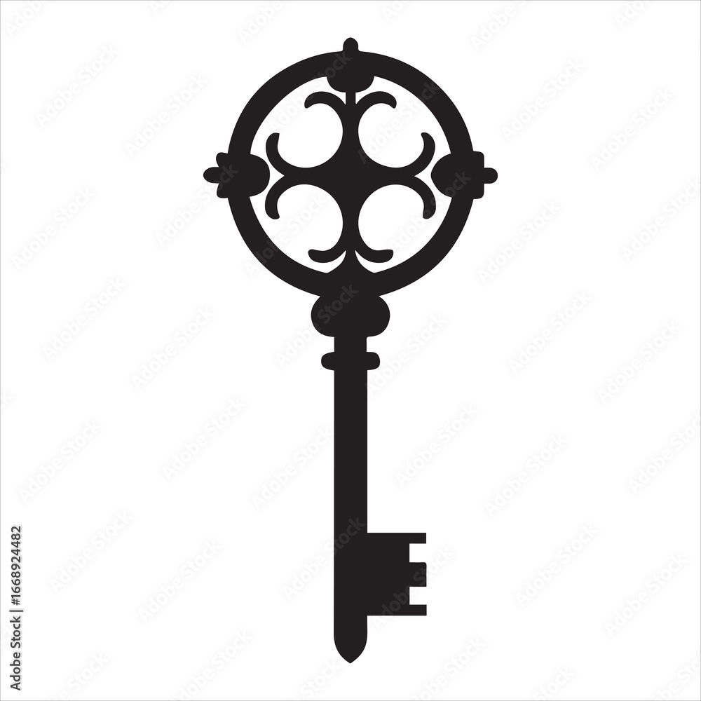 Obraz premium antique key vector illustration