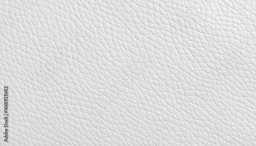 Close-up of textured white leather surface with fine, irregular grain patterns and subtle creases