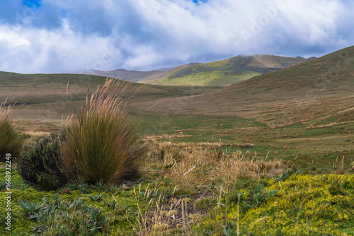 Magnificent landscape of Chimborazo National park in Ecuador on a winter day, Andes mountains