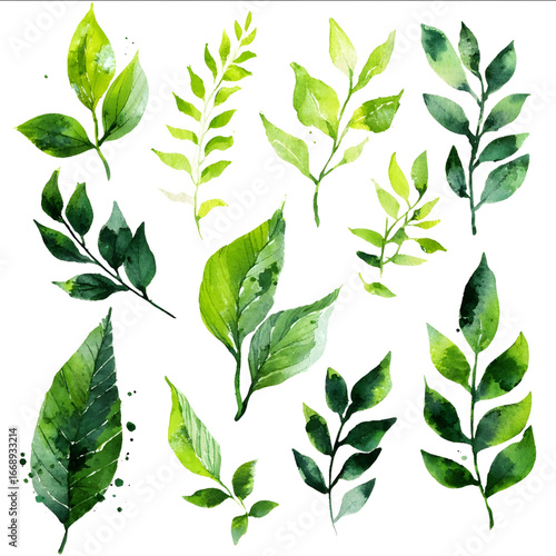 watercolor green stems with leaves Clipart.
