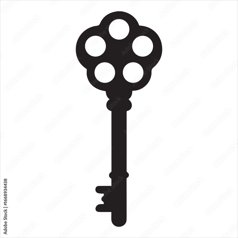 Obraz premium antique key vector illustration