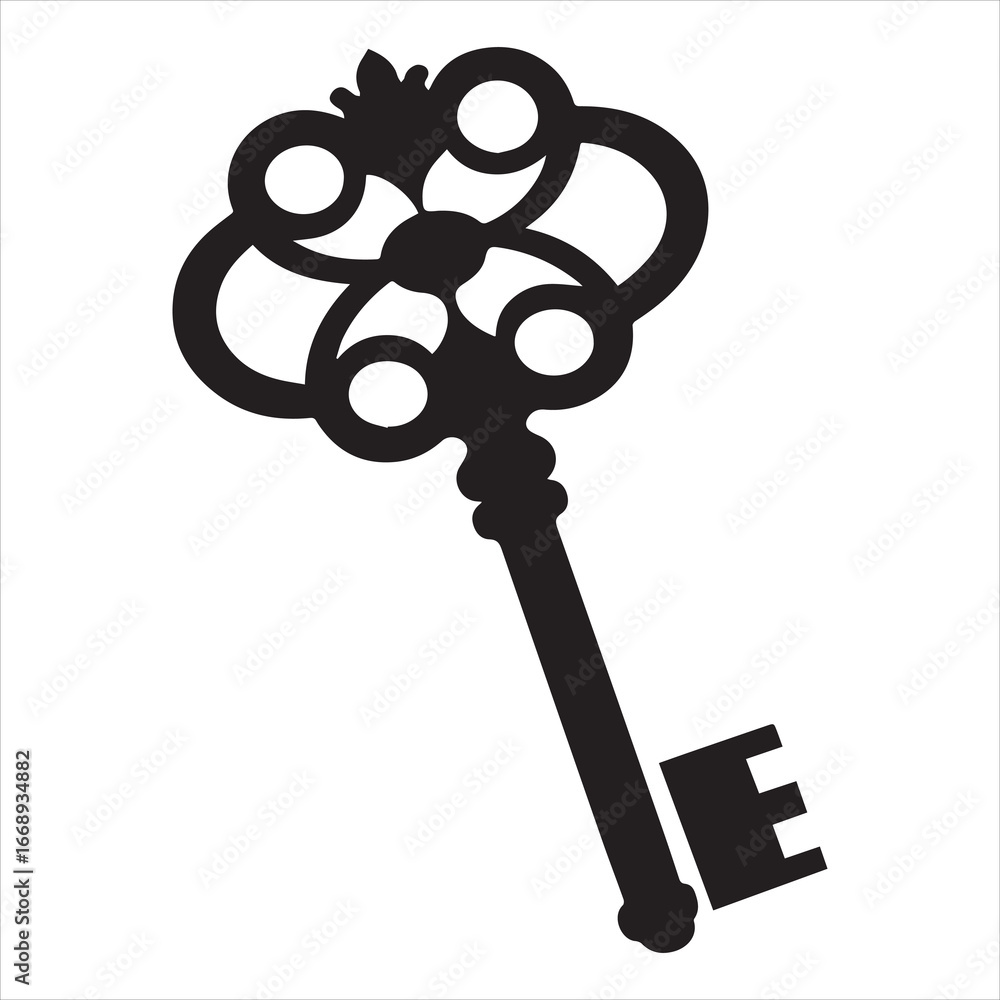 Obraz premium antique key vector illustration
