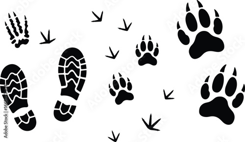 Silhouette vector illustration of different animal tracks and human footprints, including bear, bird, and shoe prints, for wildlife, tracking, and nature designs.