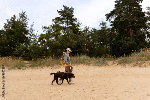 professional dog walker. person walks two pets on beach by sea or Forest. dogs on leashes, woman is wearing hat. Pet training with dog handler, dog sitter. shelter, dog walking volunteer.