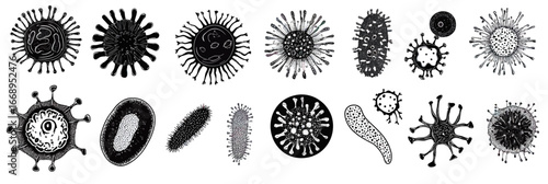 Set of black and white vector illustrations of diverse bacteria and virus microorganisms with unique shapes and structures in flat minimalist style