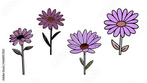 Charming purple daisies bloom gracefully, bringing natural beauty and vibrant color to any design project.