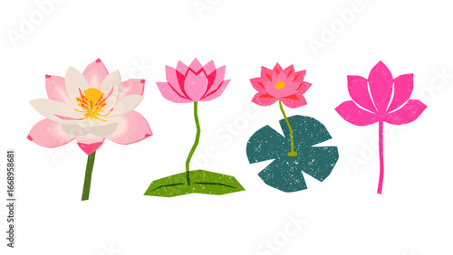 Vibrant pink lotus flowers bloom gracefully on green stems with textured leaves, bringing natural beauty and serene elegance to any design project.