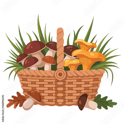 Autumn season harvest mushrooms organic products isolated vector illustration on white background