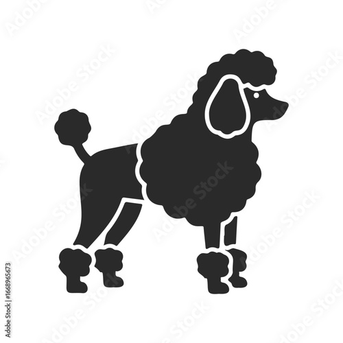 Silhouette of a groomed poodle dog in side profile on white background