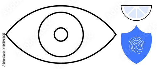 Large eye outline, blue fingerprint shield, segmented circle highlighting vision, protection, and identity. Ideal for technology, cybersecurity, surveillance, privacy safety biometrics awareness