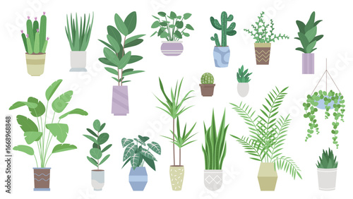 Green plants for house decoration set vector illustration. Cartoon flowerpots and vases with palm trees and tropical succulent plants, hanging planter and pot stands, modern houseplants collection
