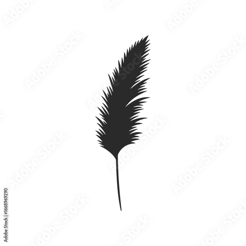 Minimalist silhouette of a single feather on white background