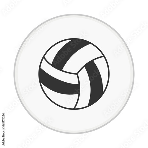 Volleyball Ball Icon