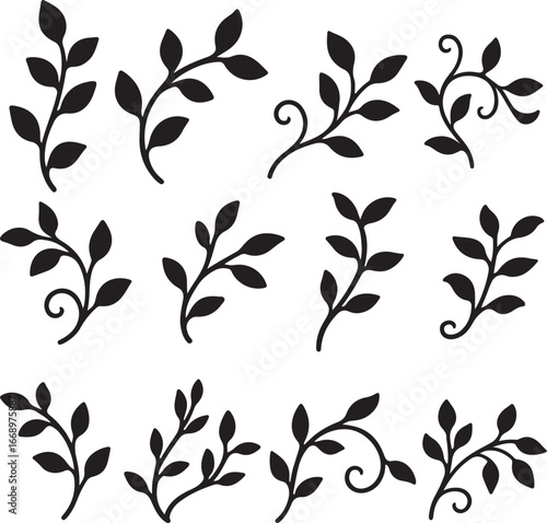Vine Silhouette bundle Design on White Background
