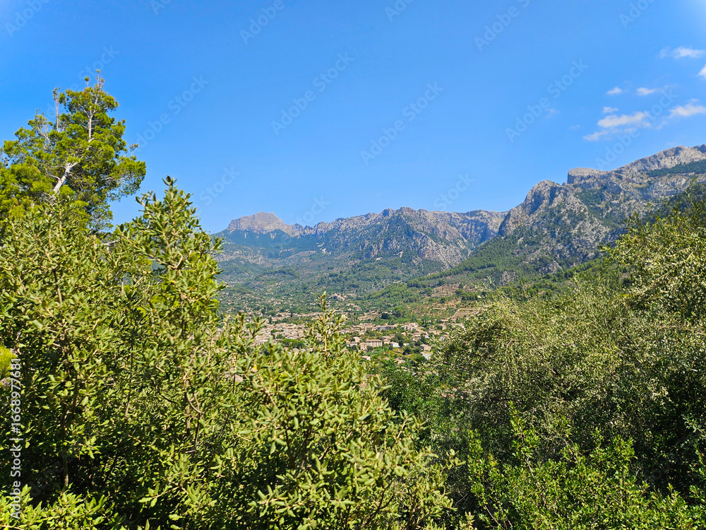 Obraz premium View of the mountains and trees under the sun. Mountains mountain view natural view. Mountain and cloudy sky views. Agriculture trees. Green landscape. Forest in the mountains.