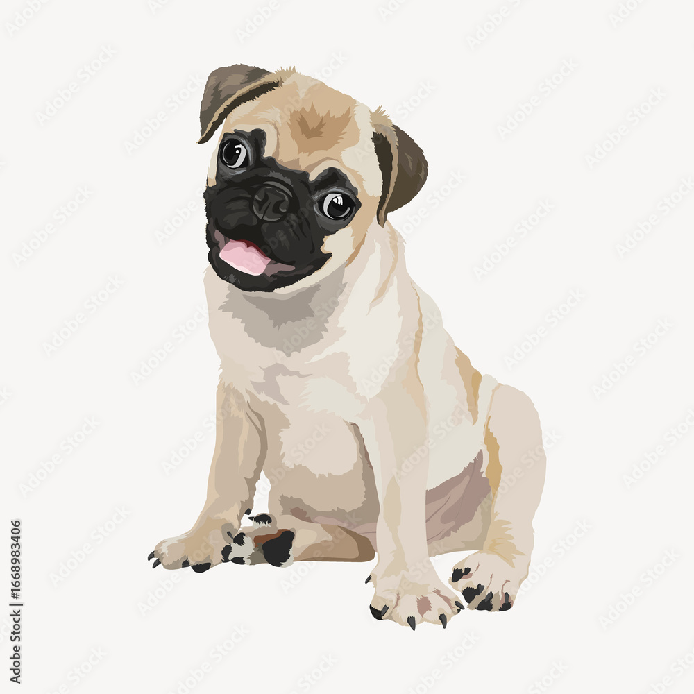 Obraz premium Pug puppy, illustration clipart