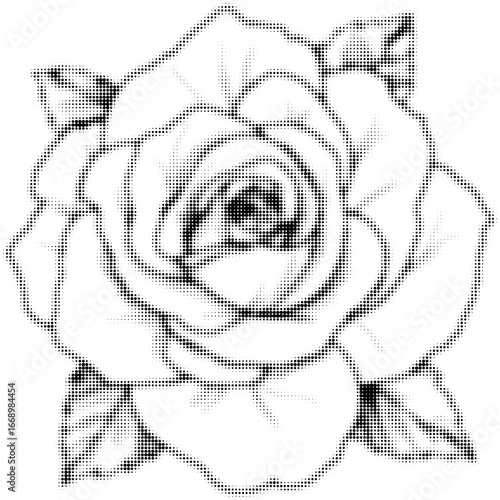 Black and white halftone illustration of a rose flower with detailed petals. Vector illustration