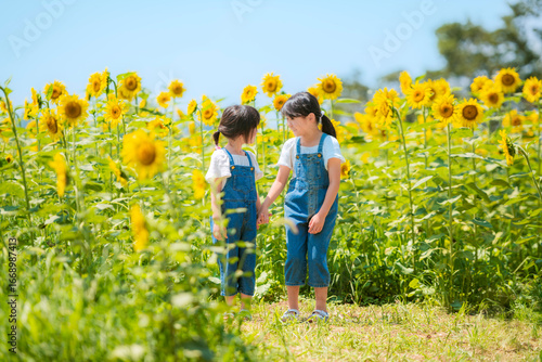 夏休みにひまわり畑で遊ぶ子供たち