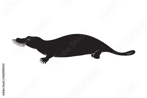 Silhouette of a black ferret or weasel on a white background