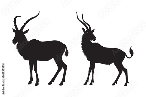 Two black silhouettes of antelopes with curved horns
