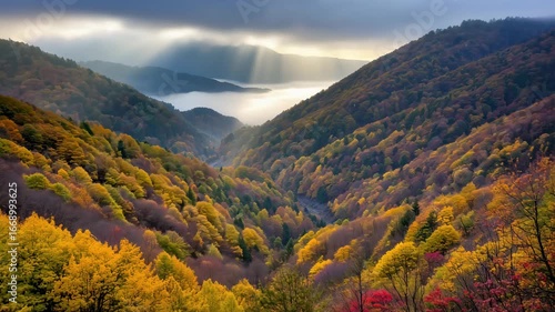 Misty Golden Valley Over Fall Valleys