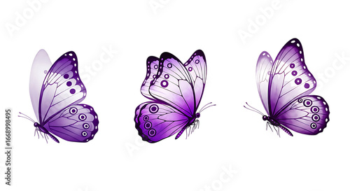 Three purple butterflies with white markings isolated On a transparent background