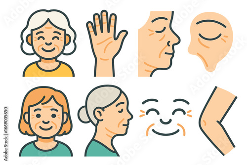 Smiling Wrinkled Faces. Flat vector mini-illustrations aged skin in colors children's illustrations: smiling faces with wrinkles,
