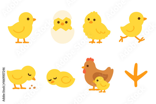 Chick Illustration Icons. Flat vector mini-illustrations chick in colors children's illustrations: yellow chick, chick hatching