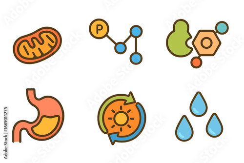 Metabolism Miniatures. Flat vector mini-illustrations metabolism in colors children's illustrations: mitochondria, ATP molecule,