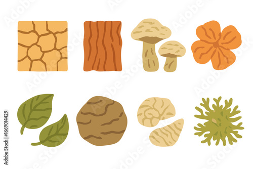 Nature's Wrinkles Grid. Flat vector mini-illustrations wrinkles in nature in colors children's illustrations: cracked earth,
