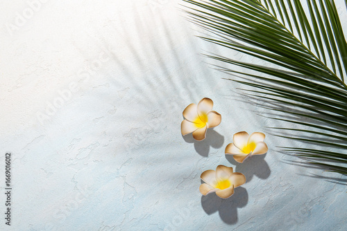 Beautiful plumeria flowers ...